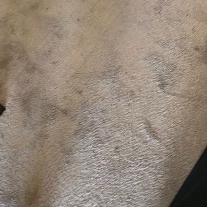 Meet your Posher, Thomas